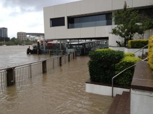 Make sure you check your stormwater pipes. Call today - Citi Plumbing